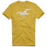 Camiseta Hollister Tamanhos S