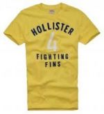 Camiseta Hollister Tamanho S/M